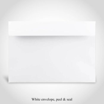 Peel and seal White C5 envelope - reverse view